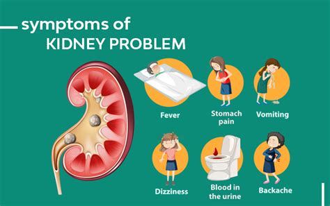 kidney function test for symptoms